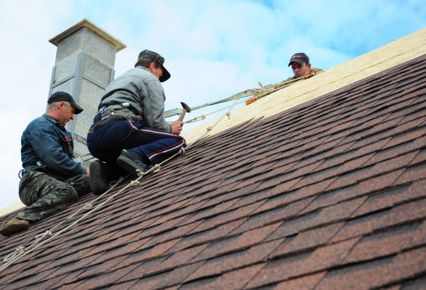 Best Roof Repair Services  in Landmk, AR
